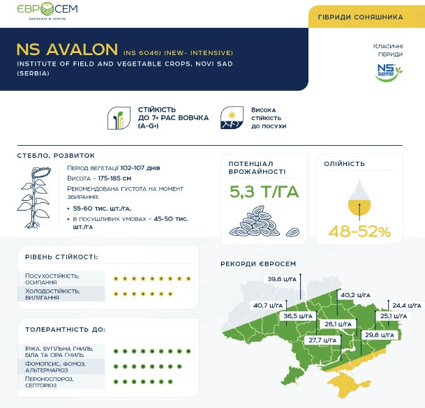 АВАЛОН, фото 1