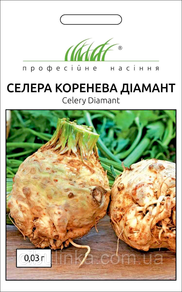 Селера Діамант коренева Bejo Zaden/Нідерланди 0,03 г, фото 1
