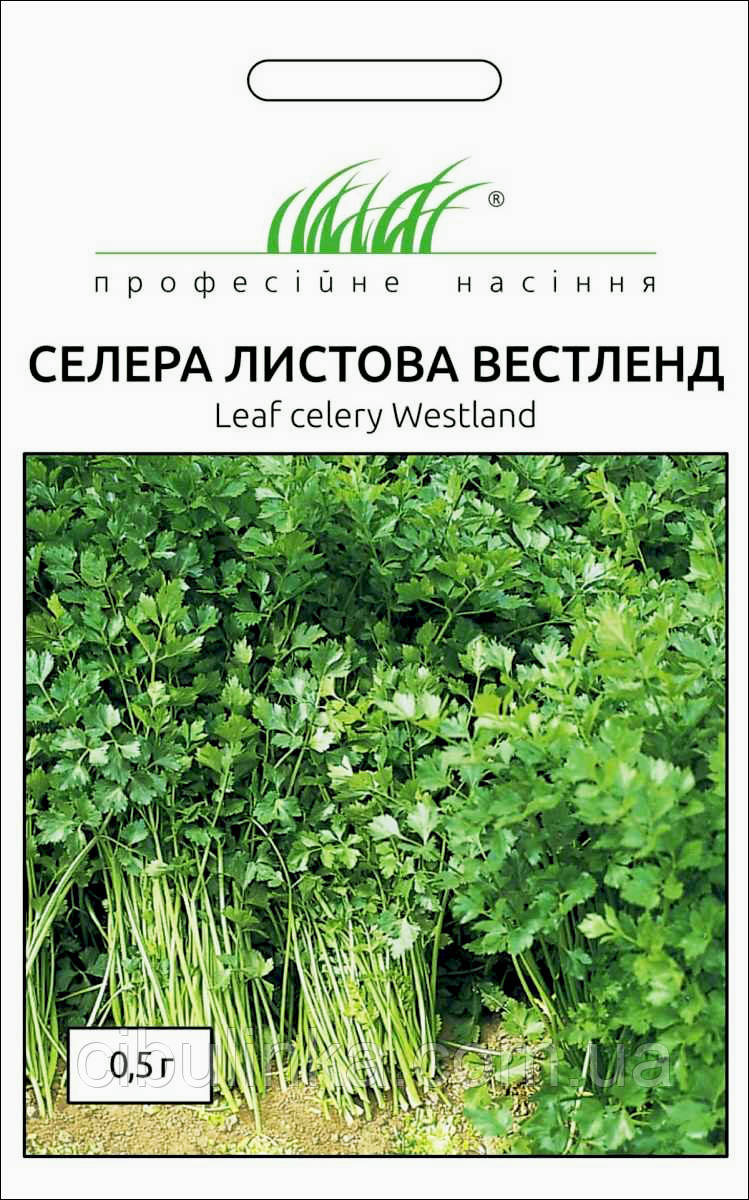 Селера Вестленд листовий Профсемена (Фасівка 0.5 г), фото 1