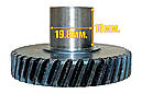 Шестерня для електропили Craft-tec EKS-405В, фото 3
