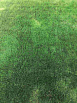 Штучна трава 40мм для футболу Evolution, фото 3