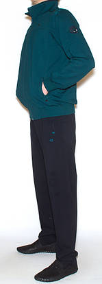 Cпортивний костюм трикотаж чоловічий Piyera 7541 (M-XXXL), фото 3