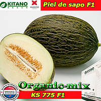 Насіння, диня КС 775 F1, тип Piel de sapo, 1000 насіння ТМ Kitano Seeds (Нідерланди)