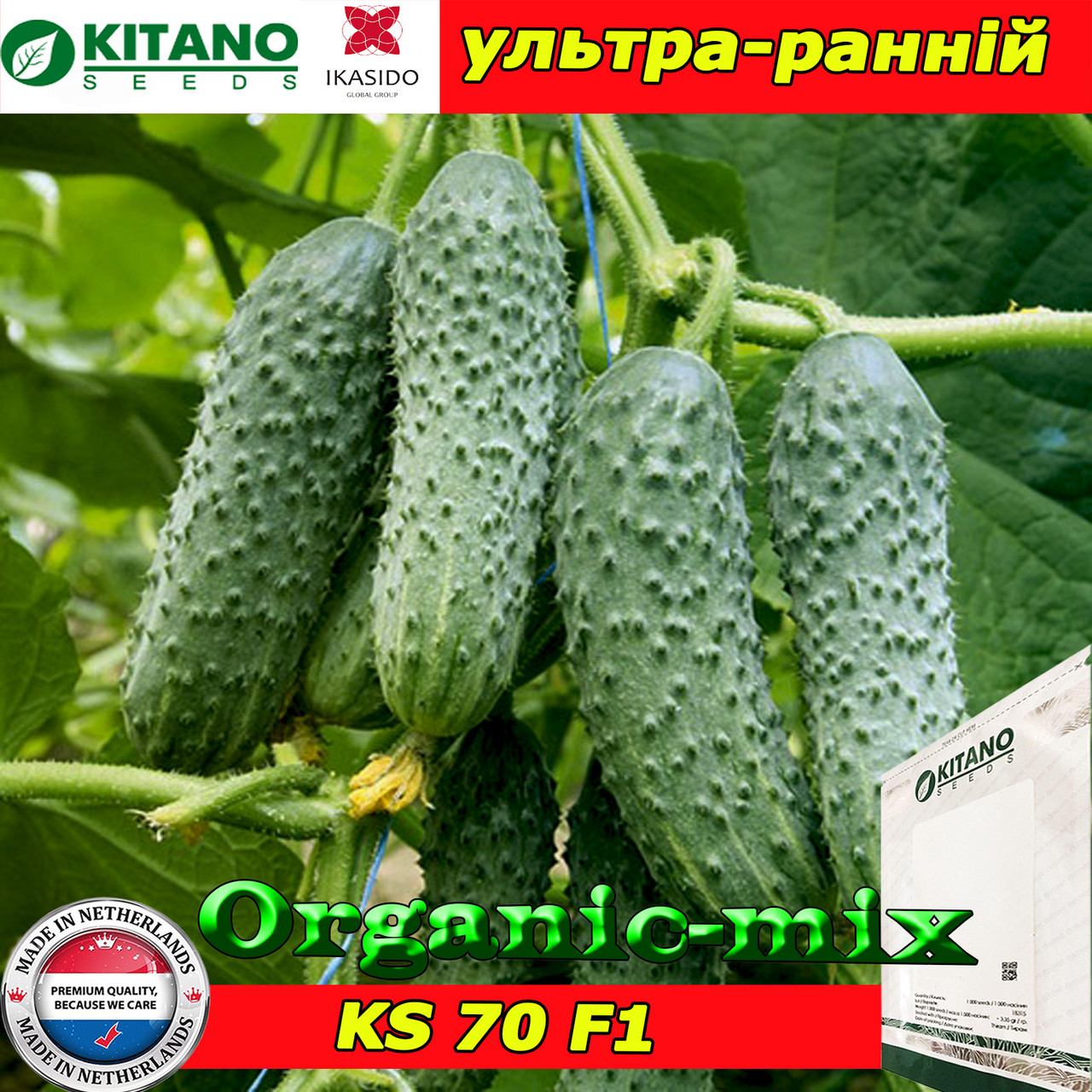Насіння, огірок ультраранній KS 70, суперпучковий, ТМ Kitano Seeds