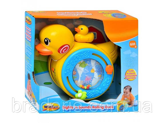Музична іграшка Качечка перекочується WinFun 0731 NL, фото 1
