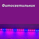 Світлодіодний фітосвітильник скляний двоколірний для рослин 12W 90 см, фото 4