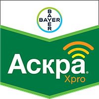 Фунгицид Аскра Xpro ЕС 260, КЕ [5л] (Bayer)