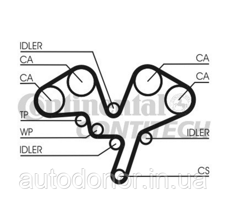 Ремінь ГРМ 3.0 Renault Clio 2, Symbol 1, Laguna 1/2, Avantime, Espace 3, Safrane 2, фото 2