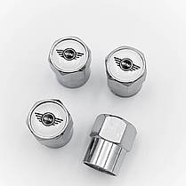 Захисні ковпачки на ніпеля MINI (Міні) 4 шт Білий фон Сріблясті, фото 3