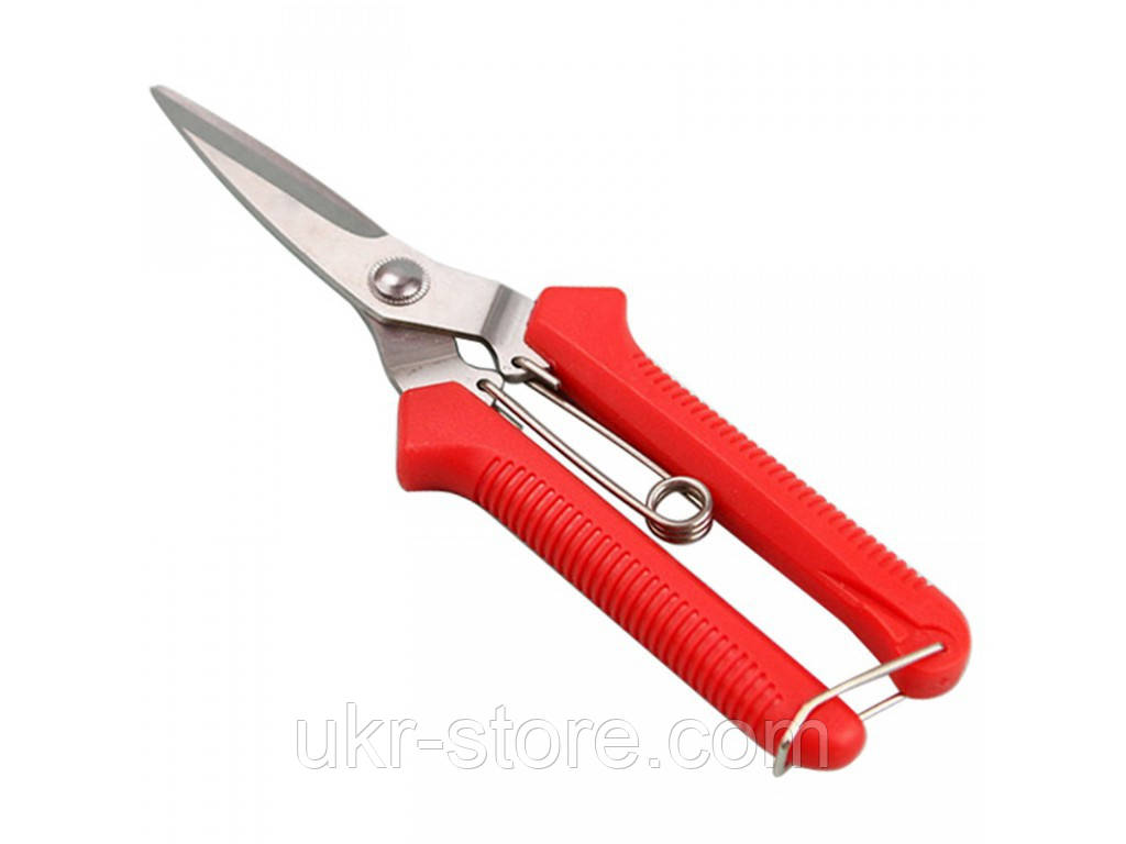 Секатор для квітів і овочів HENG YANG HARDWARE (8"), фото 1