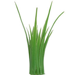 Трава осока пучок добавка 10 см (50 шт.)