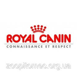 Royal Canin (Роял Канин) MAINE COON ADULT Сухой корм для кошек породы мейн-кун старше 15 месяцев, 400 г - фото 2 - id-p16407719