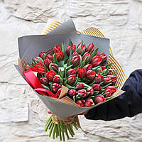 Букет червоних піоновидних тюльпанів, 51 шт.