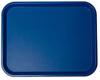 Поднос FoREST прямоугольный синий 45,6х35,6 см пластик (594184)