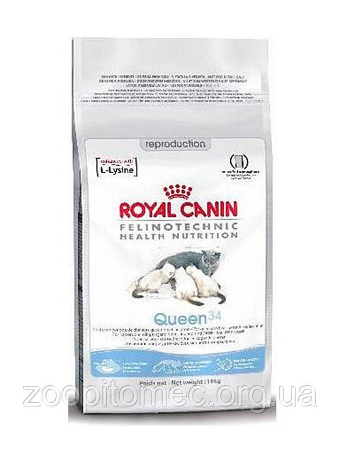 Royal Canin (Роял Канін) Queen корм для вагітних і годуючих кішок, 4 кг