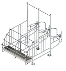 Станок для осеменения свиней П-образный (модель 20)
