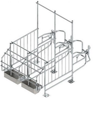 Верстат для осіменіння свиней П-подібний (модель 20/2)