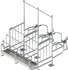 Верстат для осіменіння свиней П-подібний (модель 31)