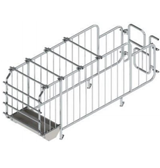 Верстат для осіменіння свиней П-подібний (модель 36)