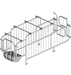 Верстат для осіменіння свиней (модель 16)