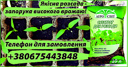 Як обрати якісний ґрунт для розсади?
