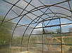 Каркас 6х8м арочний теплиці "Западенська 6+", фото 5