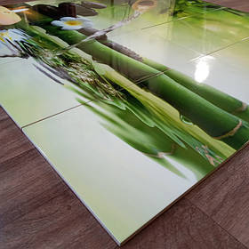 Керамическое панно из плитки - Бамбук на воде - Производство фотоплитки в Днепре 3