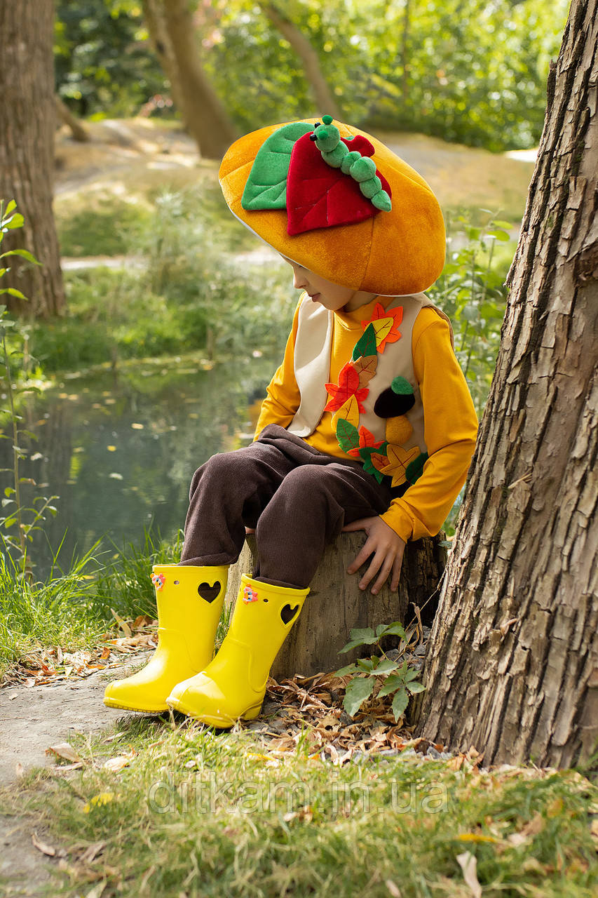 Костюм гриб Боровик для хлопчика, фото 1