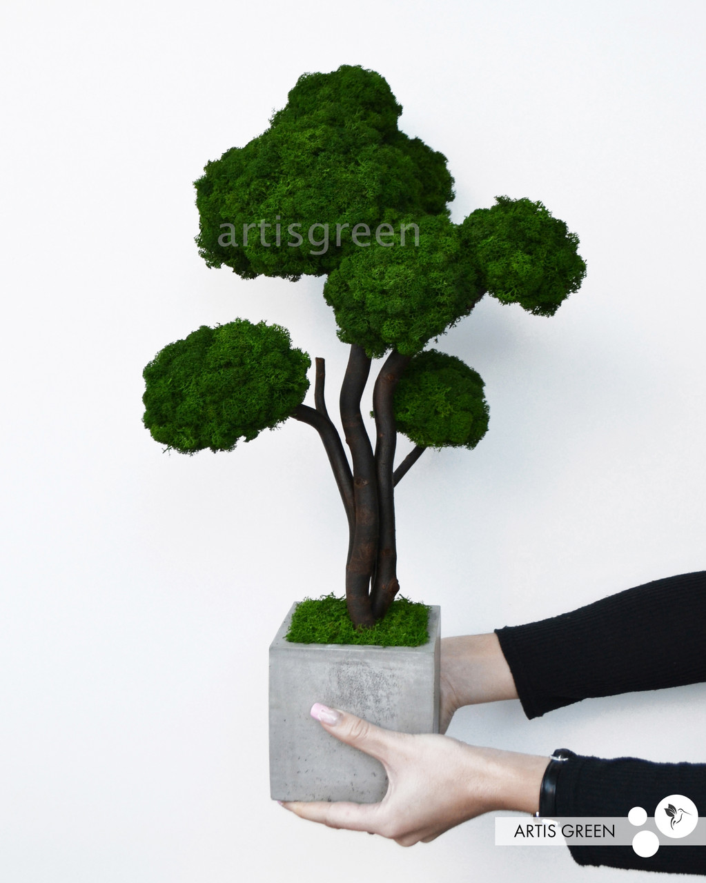 Дерево, бонсай зі стабілізованого скандинавського моху від Artis Green, топіарій