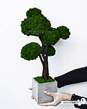 Дерево бонсай зі стабілізованого скандинавського моху від Artis Green, топіарій 50 cm, фото 2