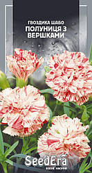 Насіння Гвоздика Шабо махрова Полуниця з вершками дворічна, 0,2 г