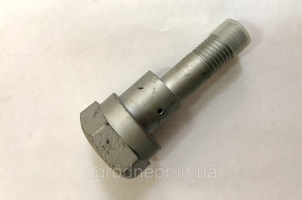 30110072 Болт регулювальний з ексцентриком на Lemken Rubin М20х95-D45/31 Zn
