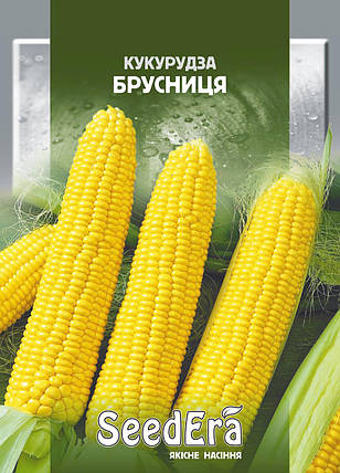 Насіння цукрова Кукурудза Брусниця, 20г, фото 1