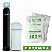 Фильтр умягчения воды Ecosoft FU 1054 CE (колонного типа)