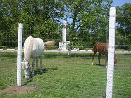 Стовпчики виноградні залізобетонні у Запоріжжі.