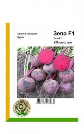 Буряк Зепо F1семена, 20 г — рання, венегрктная, кругла, Rijk Zwaan, фото 2