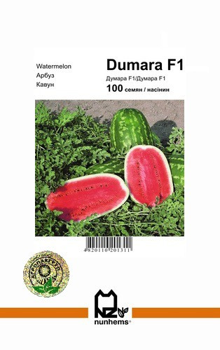 Насіння кавуна Думара F1, 100 сем - середньо-ранній (75 дн), видовжено-овальний, вага 12-16 кг Nunhems