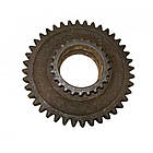 Шестерня Т50-4205017-1 ведена вала відбору потужності трактора Т 40