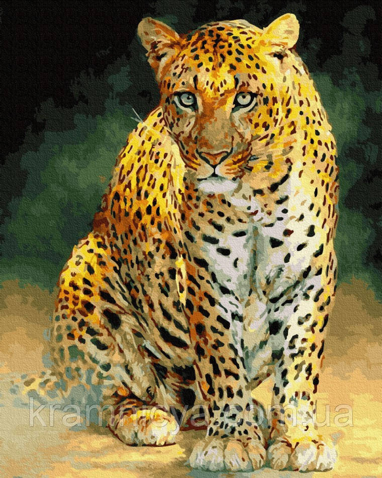 Картина за номерами Леопард, 40x50 Rainbow Art (GX28961)