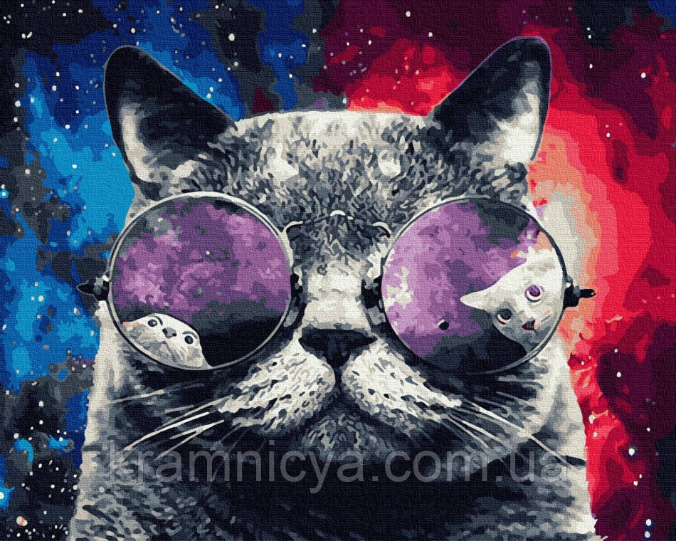 Картина за номерами Космічний кіт, 40x50 Rainbow Art (GX27976)