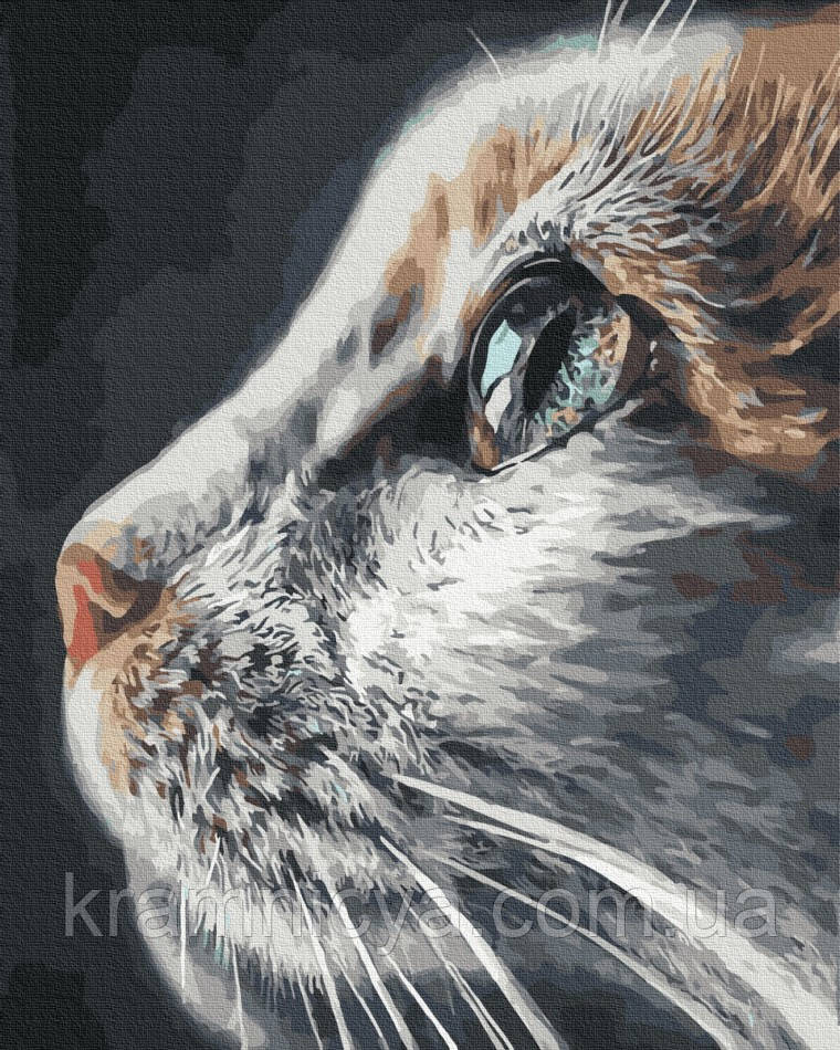Картина за номерами Погляд кішки, 40x50 Rainbow Art (GX37082)