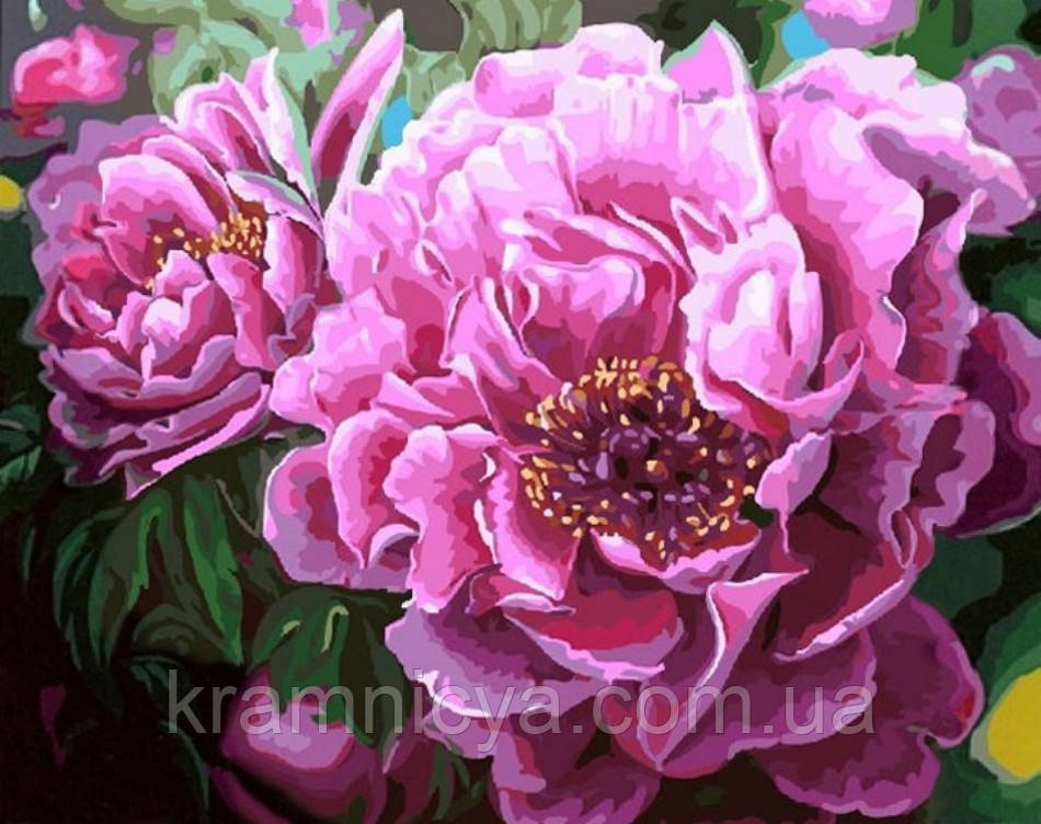 Картина за номерами Розкішні півонії, 40x50 Rainbow Art (GX4667), фото 1