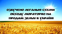 Озвучено легальні схеми обходу мораторію на продаж землі в Україні