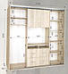Шаф купе під TV Фенікс Омега (240x45x220) Фенікс, фото 5