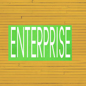 Enterprise