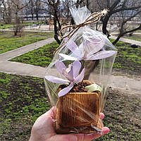 Кращий подарунок до 8 березня - Цукрова орхідея
