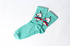 Подарунковий тубус шкарпеток Amsterdam zoo tube, One size (37-43), фото 6
