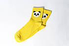 Подарунковий тубус шкарпеток Amsterdam zoo tube, One size (37-43), фото 7