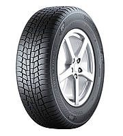 Gislaved Euro Frost 6 195/55 R16 91H XL