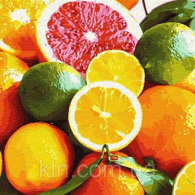 Алмазна вишивка на дерев'яному підрамнику 30 х 30 см Апетитні фрукти (арт. TN975), фото 1